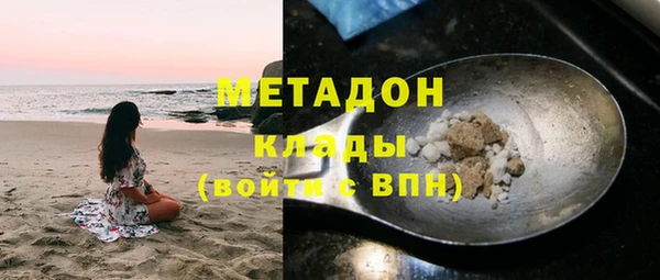 шишки Аркадак