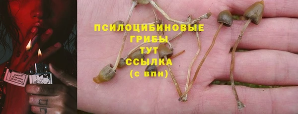 мдпв Балабаново